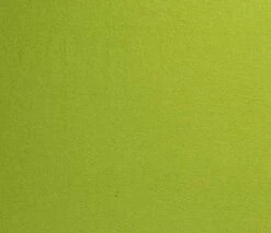 Boiled Wool Fabric | Lime