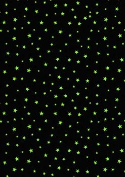 Haunted House Fabric | Glow In The Dark Stars Orange