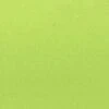 Flannel Fabric | Lime -Arts and Crafts E107283 26 1