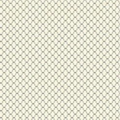 Midnight Haunt Halloween Fabric | Haunted Check Parchment