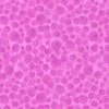 Bumbleberries SS21 | Carnival Pink -Arts and Crafts L BB259 1
