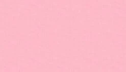 Linen Texture Fabric | Petal