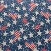 Denim Fabric Print | Red White & Blue - Light -Arts and Crafts red white and blue denim fabric main 105432